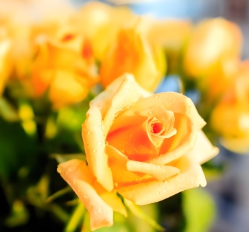 八字看流年烦恼,教你如何摆脱命运的困扰