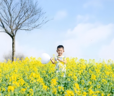 简单大气的雷姓名龙宝宝名字推荐